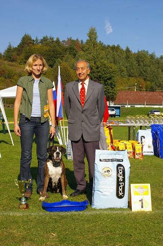 www.boxer-show.eu